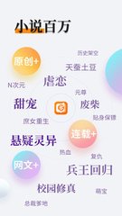 爱游戏app赞助罗马官网